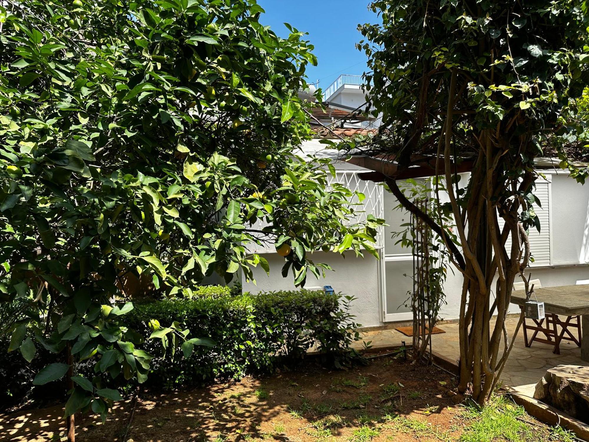 Antonis'S Garden House Apartment Athens Ngoại thất bức ảnh